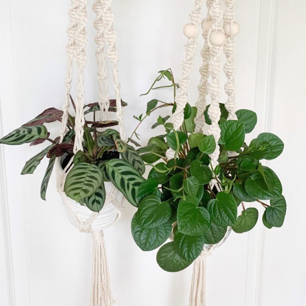 mum-me-macram-plant-hanging-workshop-the-art-space-collective